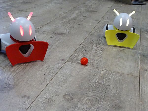 robotycznymecz20345a